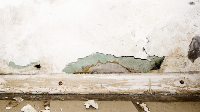 Mould Can Be A Danger After Flooding