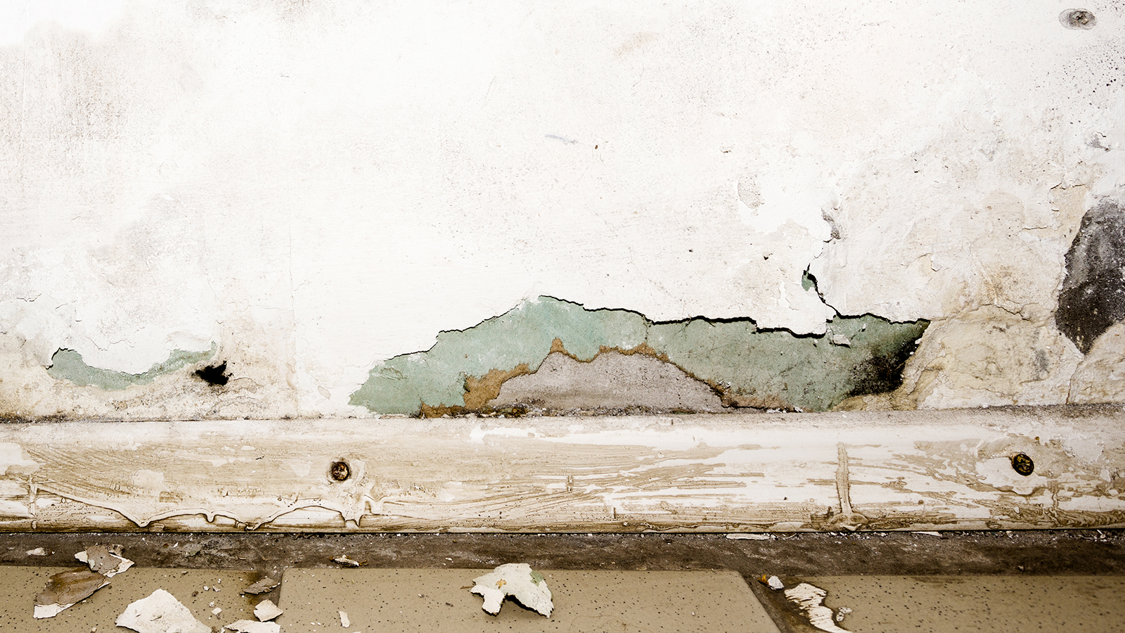 Mould Can Be A Danger After Flooding