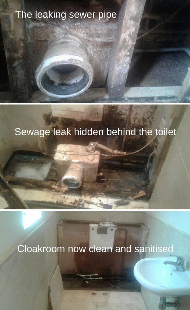 Before and after the sewage leak clean-up