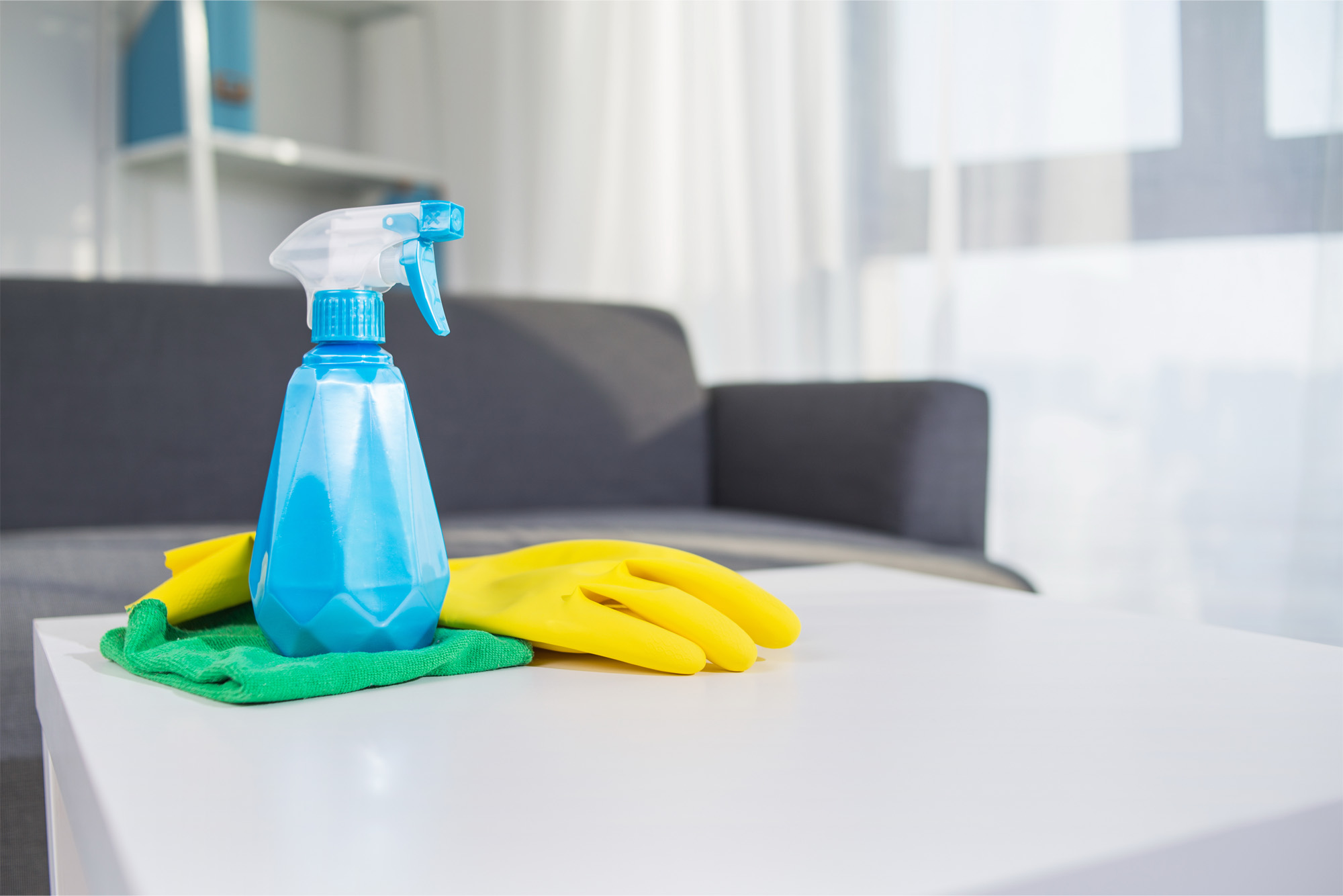 table top house cleaning products spray glove
