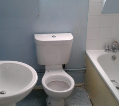 CleanSafe Services - North London extreme clean - toilet - after