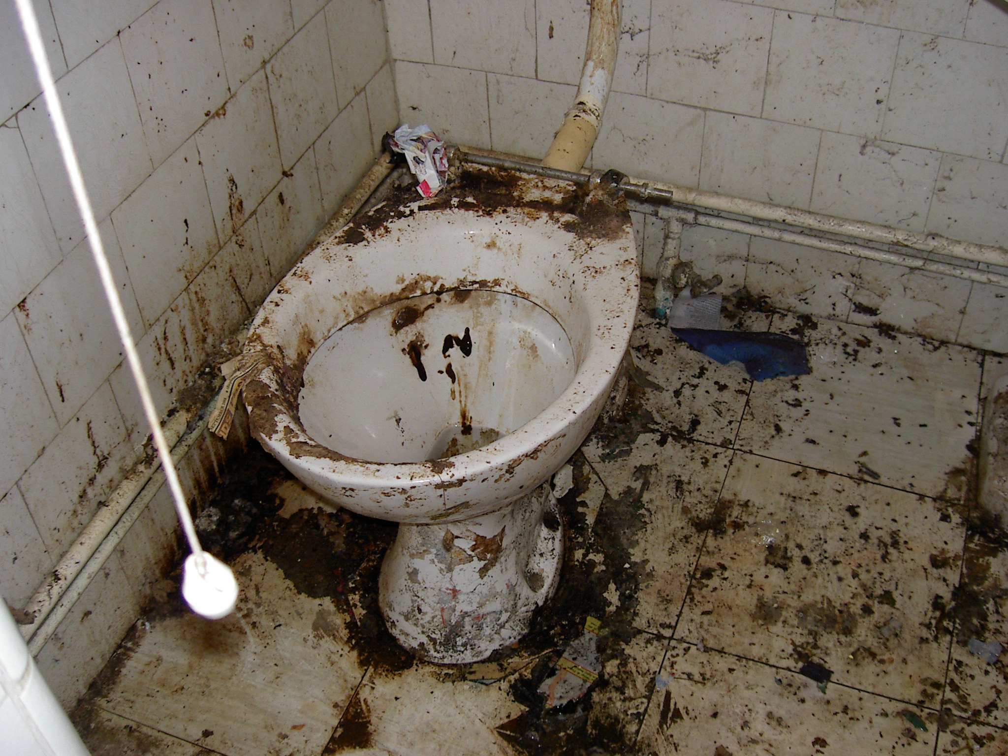 Hygienic deep clean toilet - before