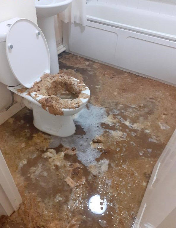 Sewage spill Bristol - toilet - before
