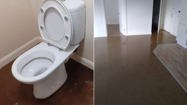 sewage flood cleaning service saves apartment sale
