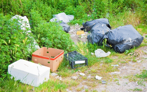 Waste Removal
