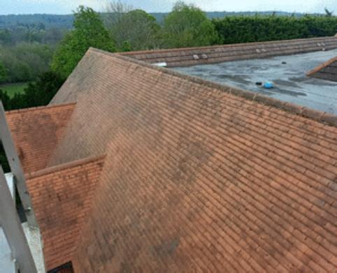 Commercial Building Roof Cleaning