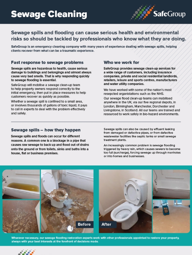 Sewage Cleaning