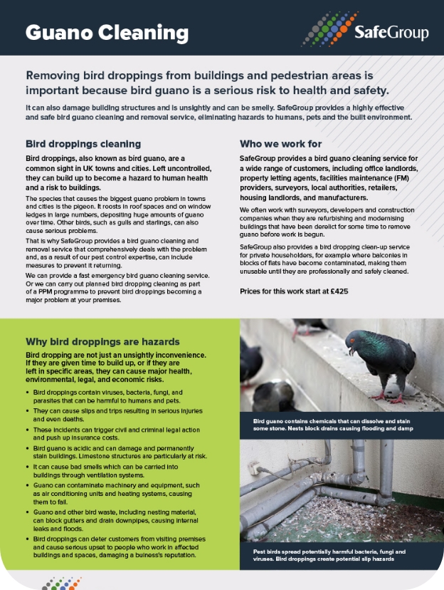 Guano Cleaning